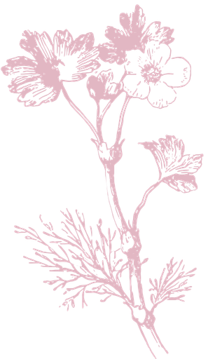 Eduards & Esme Main Flower Graphic